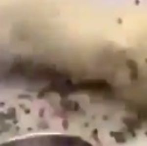 Meet your Posher, Deniz a